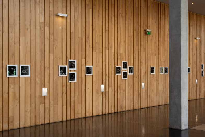 Exposition au musée Bernard d'Agesci