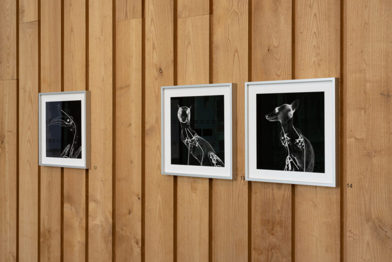 Exposition au musée Bernard d'Agesci